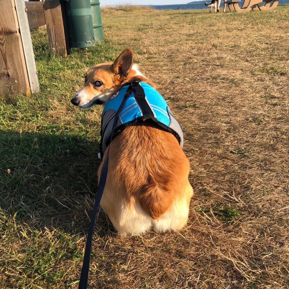 Meet your Posher, Nancy